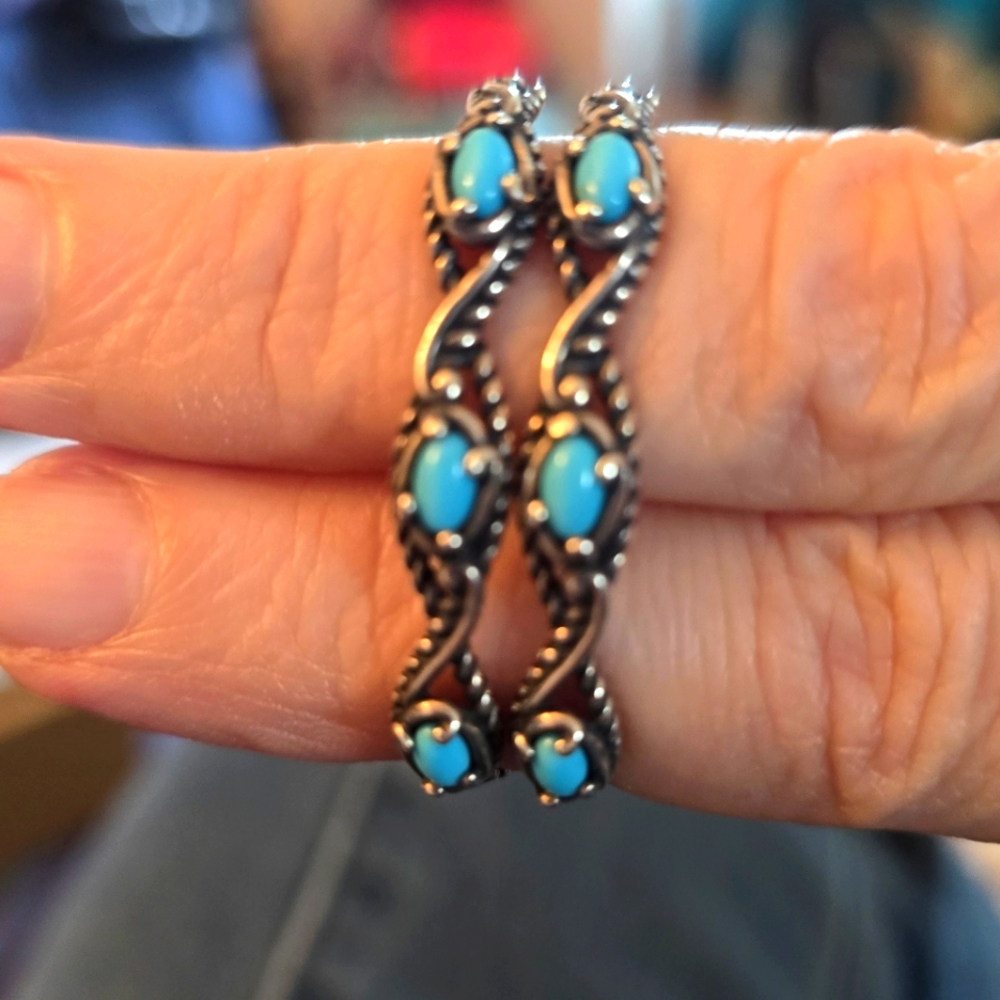 Sleeping Beauty Turquoise Earringd